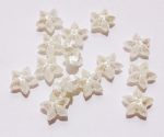   Miracle bead, economical pack, ecru flower, 10 mm,  1ft/ piece!!!